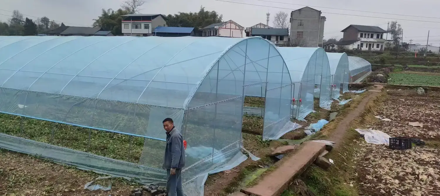 Single Tunnel Greenhouse