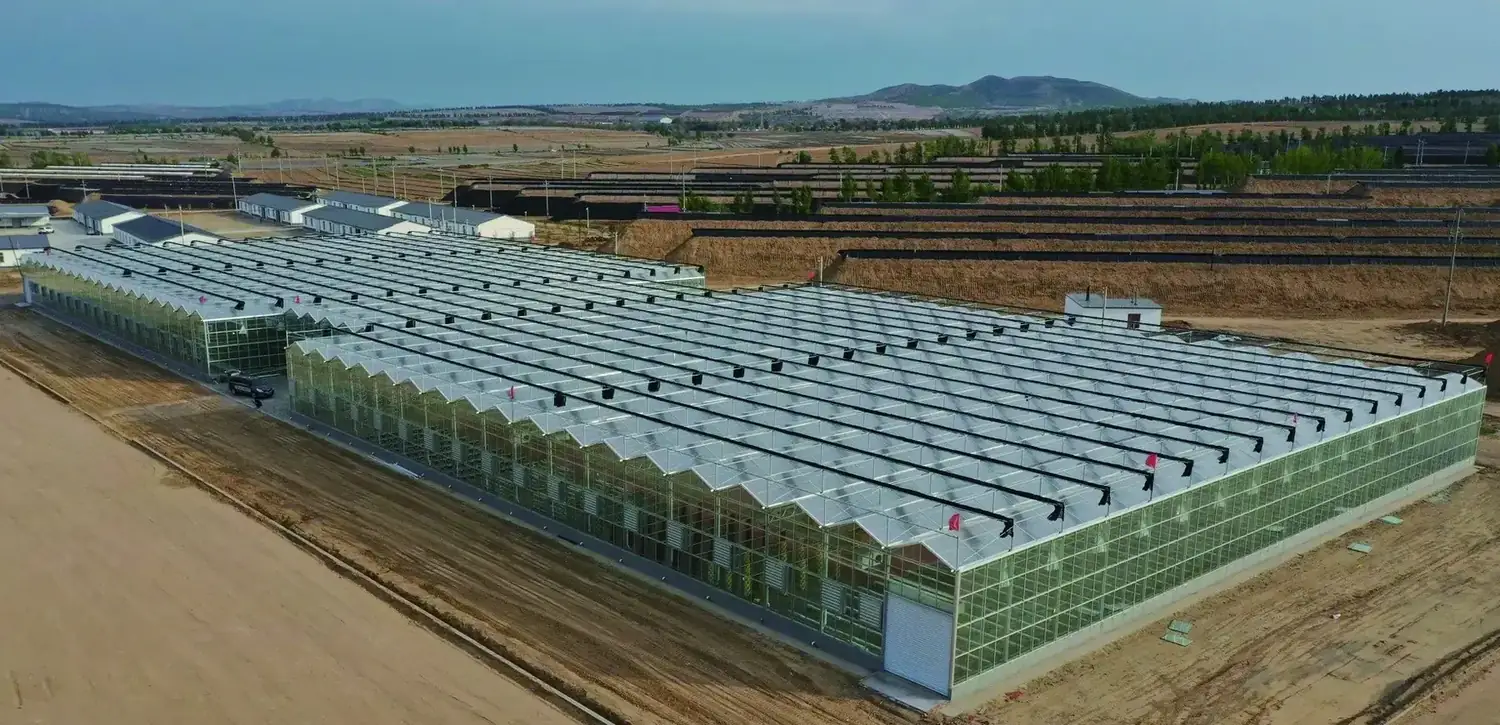 Hebei Zhengding Vegetable Base